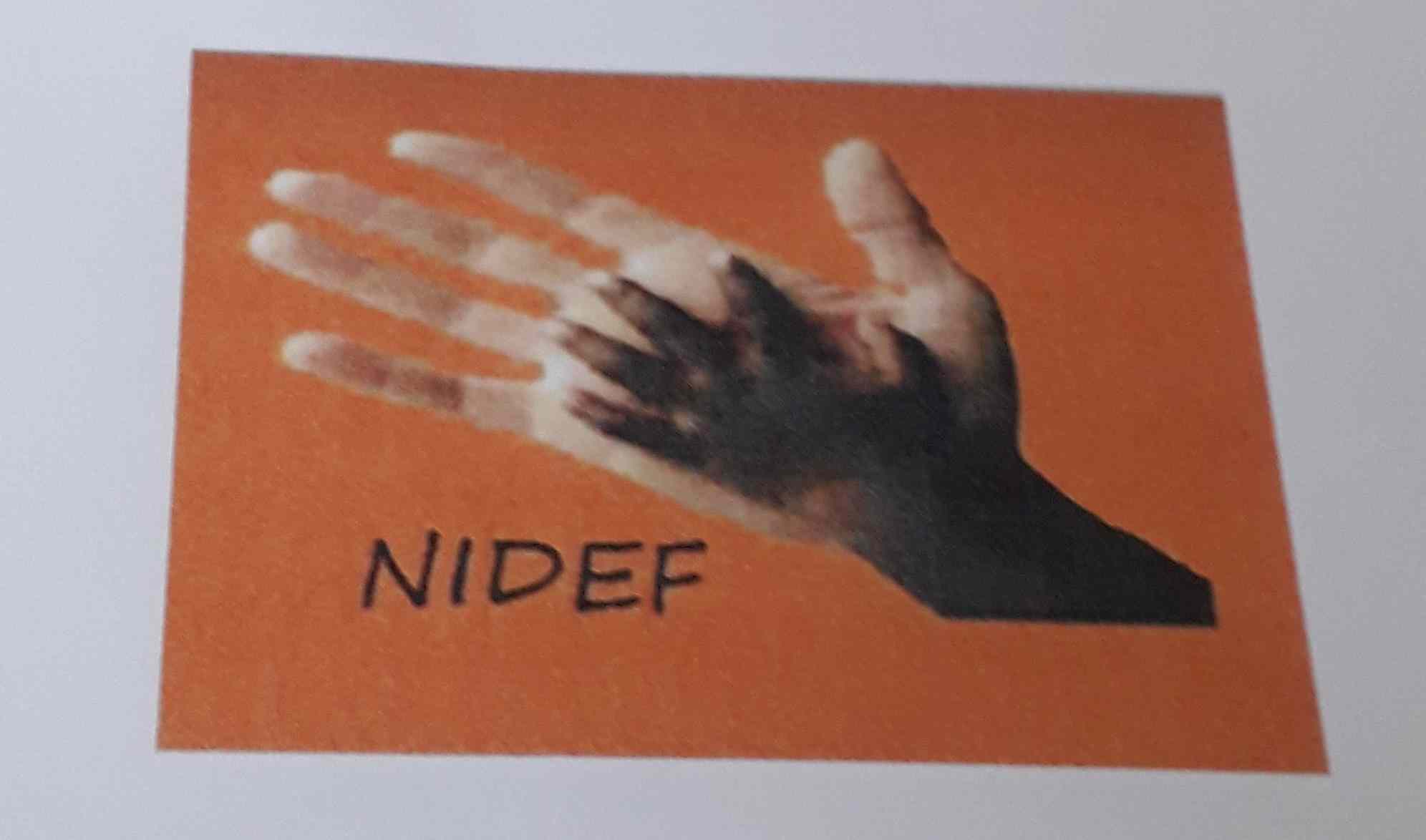 Logo Nidef